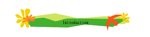 Introduction